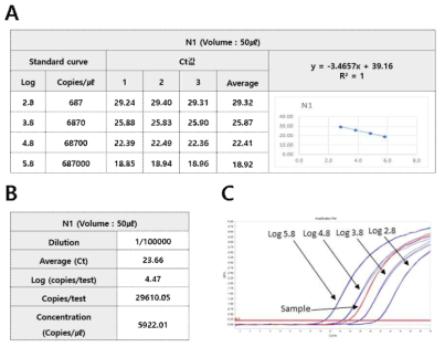 Conversion result of copy number of N1 RNA positive standard material (A. N1 linearized plasmid DNA standard curve. B. N1 RNA positive standard material copy number. C. Amplification of N1 linearized plasmid DNA and RNA positive standard material)