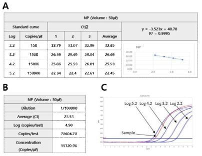 Conversion result of copy number of NP RNA positive standard material (A. NP linearized plasmid DNA standard curve. B. NP RNA positive standard material copy number. C. Amplification of NP linearized plasmid DNA and RNA positive standard material)