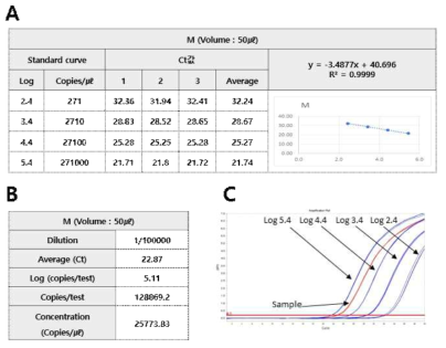 Conversion result of copy number of M RNA positive standard material (A. M linearized plasmid DNA standard curve. B. M RNA positive standard material copy number. C. Amplification of M linearized plasmid DNA and RNA positive standard material)