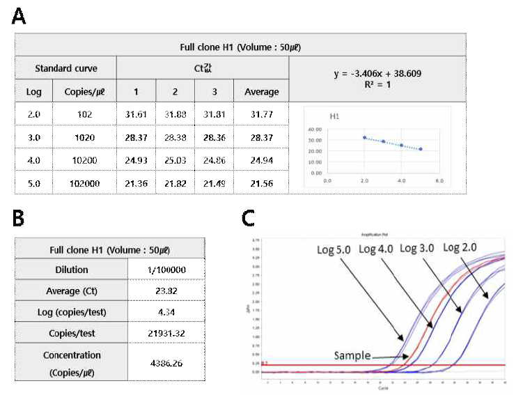 Conversion result of copy number of H1 full clone positive standard material (A. H1 linearized plasmid DNA standard curve. B. H1 full clone standard material copy number. C. Amplification of H1 linearized plasmid DNA and full clone positive standard material)