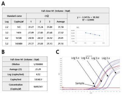 Conversion result of copy number of N1 full clone positive standard material (A. N1 linearized plasmid DNA standard curve. B. N1 full clone standard material copy number. C. Amplification of N1 linearized plasmid DNA and full clone positive standard material)