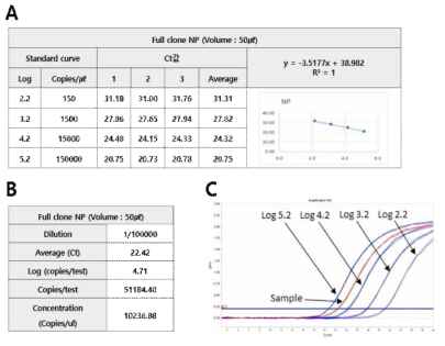 Conversion result of copy number of NP full clone positive standard material (A. NP linearized plasmid DNA standard curve. B. NP full clone standard material copy number. C. Amplification of NP linearized plasmid DNA and full clone positive standard material)