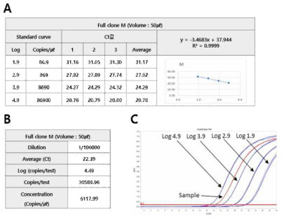 Conversion result of copy number of M full clone positive standard material (A. M linearized plasmid DNA standard curve. B. M full clone standard material copy number. C. Amplification of M linearized plasmid DNA and full clone positive standard material)