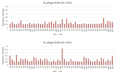 S1 패닝에 대한 phage ELISA