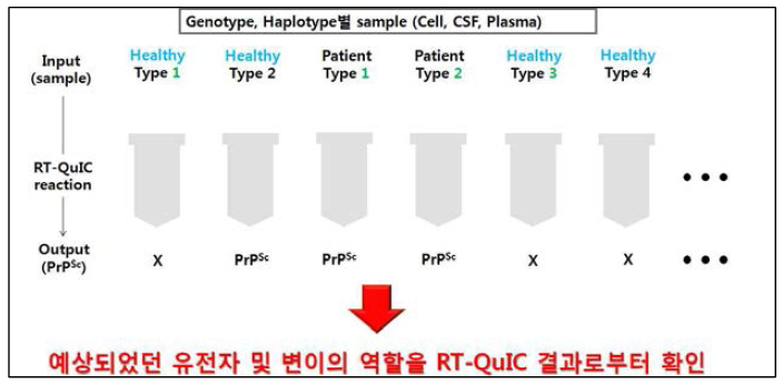 RT-QuIC을 통한 유전형별 PrPSc 발현 양상 확인 연구 진행 방법 모식도