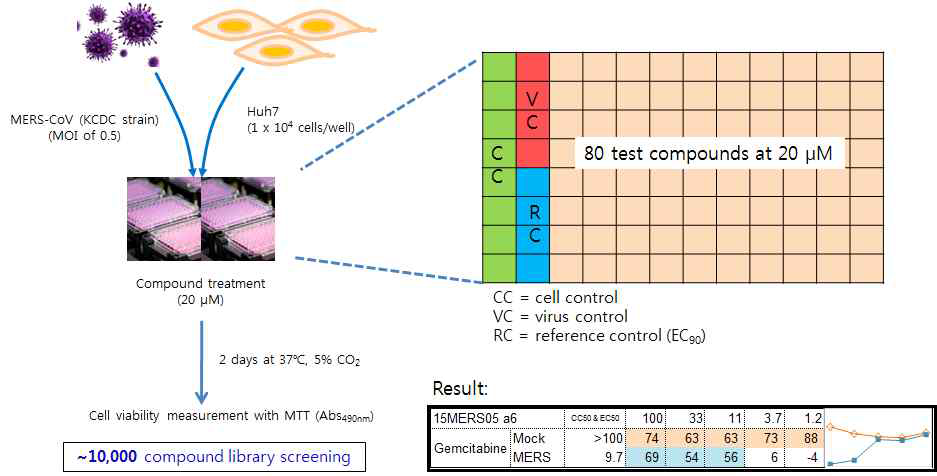 Huh7 세포에 메르스 코로나바이러스를 감염시킨 후 항바이러스제 효능을 평가한 결과. Reference 약물로는 Gemcitabine의 EC90 농도를 이용하여 이에 준하는 메르스 증식 억제 효과를 나타내는 시험물질을 탐색함. 현재 10,000개 약물 중 3,000개에 대한 효능탐색을 완료한 상황임