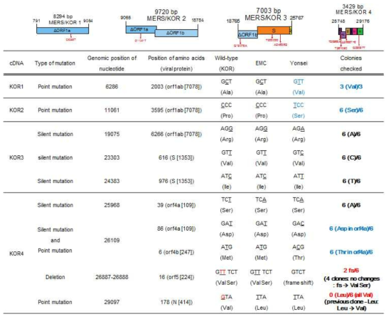 MERS/KOR 절편들의 서열 분석결과