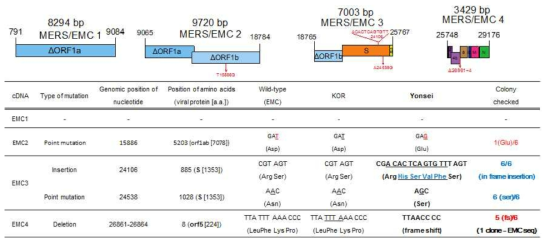 MERS/EMC 절편들의 서열 분석결과
