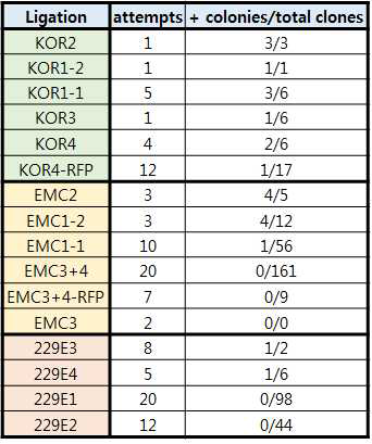 전장클론 제작을 위해 순차적으로 cDNA절편들을 ligation하는 클로닝 과정에서의 시도 횟수와 성공률