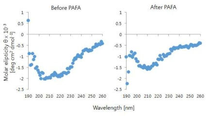 CD spectra of recPrP before and after PAFA
