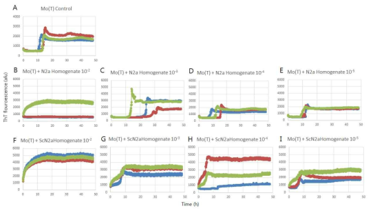 PrP aggregates formation assay with truncated PrP substrate and N2a (B-E) and ScN2a (F-I). (A) control, no seed, Seed diluted 10E-2 (B, F), 10E-3 (C, G), 10E-4 (D, H), 10E-5 (E, I)