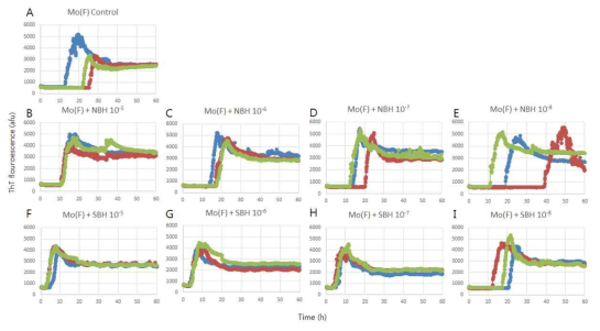 PrP aggregates formation assay with full length PrP substrate and uninfected (B-E) and prion-infected (F-I) mouse brain homogenates. (A) control, no seed, Seed diluted 10E-5 (B, F), 10E-6 (C, G), 10E-7 (D, H), 10E-8 (E, I)