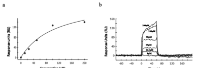 후보저해물질과 프리온 단백질과의 결합친화도 분석결과(Kinetic analysis). (a) The steady state (equilibrium) response units (RU) after fitting are plotted against the concentration of BMD42-29. (b) Sensogram curve depicting the interaction between the indicated concentrations of BMD42-29 and sensorchip-immobilized PrPC. The equilibrium dissociation rate constant (KD) was determined to be 103 μ M for this compound