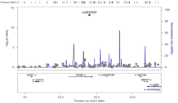 Signal Plot