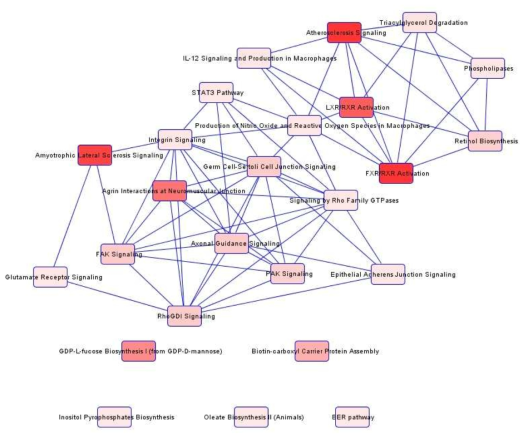 TG와 관련된 유전자의 enriched signaling pathway