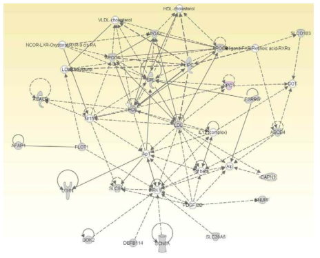 Lipid metabolism 관련된 유전자 네트워크