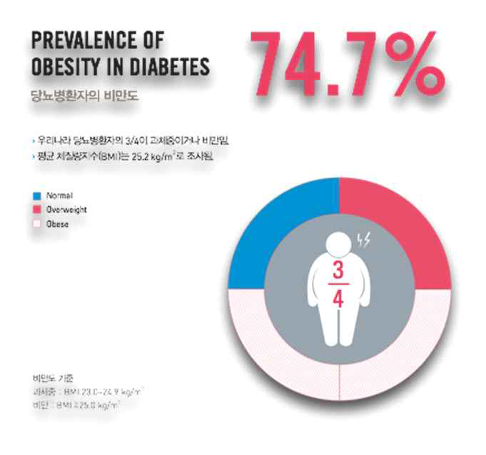 당뇨환자에서의 비만 위험 발생률