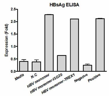 cccDNA를 mimb한 in vitro 시스템에서 치료후보인자(ISG20, TREX1)을 과발현시키고 이에 따른 HBsAg 의 양을 ELISA로 확인함