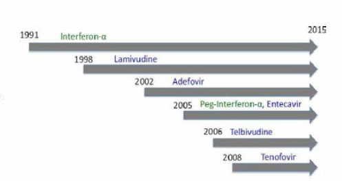미국 FDA로부터 승인된 B형간염 치료제의 타임라인