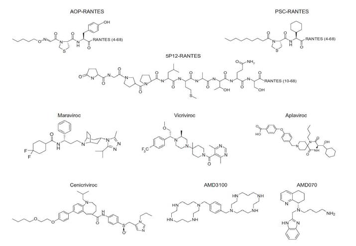 gp120-coreceptor 결합 저해제