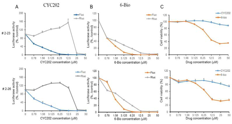 HIV Tat 표적 Screening System 개발-확보한 시스템의 유효성확인 (CYC202, 6-Bio)