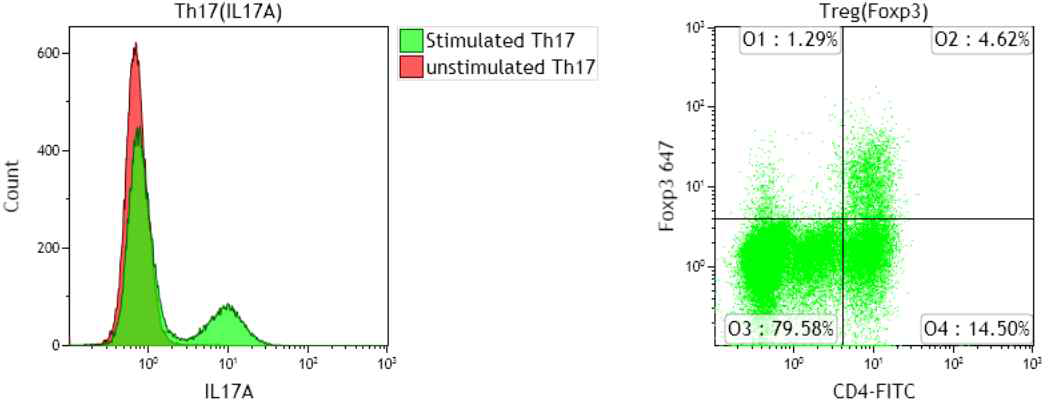 Th17과 Treg세포에서 각 표지분자