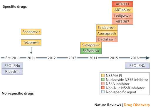 C형간염 바이러스 치료제 DAAs 개발 현황 (Nature Reviews Drug Discovery, 2013)