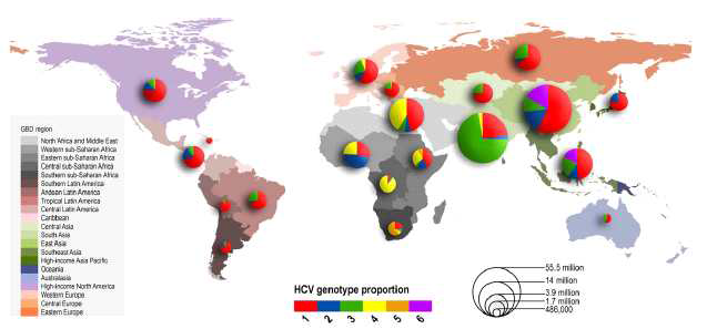 HCV 유전형에 다른 전 세계 감염 분포도 (Jane P. Messina et al., 2015 Hepatology)