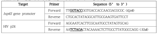 p24 발현 벡터 제작을 위한 프라이머 세트와 그 염기서열