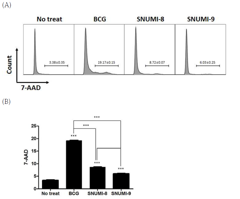 최종 후보 균주인 SNUMI-8 및 SNUMI-9의 안전성을 확인하기 위해서 감염된 BMDC에 7-AAD assay를 이용하여 cell viability를 측정한 결과. (A) 각 균주가 세포에 미치는 영향을 비교한 raw data. (B) Raw data를 그래프로 나타낸 결과. ***, p < 0.001