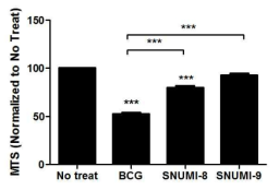 최종 후보 균주 2가지 SNUMI-8, SNUMI-9의 안전성을 확인하기 위해서 감염된 BMDC에 MTS assay를 이용하여 감염 균주의 cell viability를 비교, 평가한 그래프. ***, p < 0.001