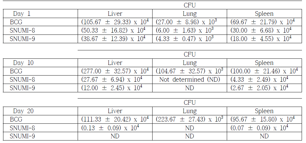 BCG, SNUMI-8 및 SNUMI-9 마우스 감염 시, 시간에 따른 각 장기 별 CFU 측정 결과