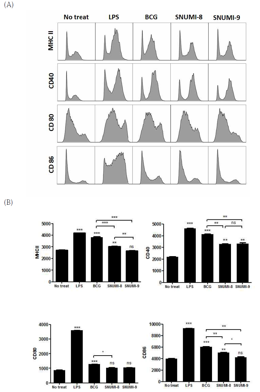 (A) BMDC에 균주들을 감염시켰을 때 BMDC의 maturation marker로 알려진 (MHC class II, CD40, CD80, CD86)의 발현량을 flow cytometer로 측정한 결과 음성대조군으로는 배지만 사용한 값을, 양성 대조군으로는 LPS를 사용한 값을 사용함. (B) Flow cytometer에서 측정된 각 마커의 발현 비율을 그래프로 나타 내었을 때의 결과
