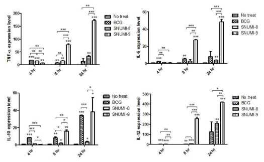 수지상 세포에 BCG, SNUMI-8 및 SNUMI-9 균주 감염 후, 시간 별 (4, 8, 24시간) 사이 토카인(TNF-α, IL-6, IL-10 and IL-12)의 mRNA 레벨을 real-time PCR로 측정한 결과. 통계적 유 의성은 Student-t test로 검정되었음. *, p < 0.05; **, p < 0.01; ***, p < 0.001