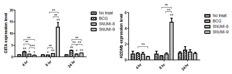 수지상 세포에 BCG, SNUMI-8 및 SNUMI-9 균주 감염 후, 시간 별 (4, 8, 24시간) 항원 제시에 영향을 주는 인자인 CIITA와 H2DMb의 mRNA 레벨을 real-time PCR로 측정한 결과. 통계적 유의성은 Student-t test로 검정되었음. *, p < 0.05; **, p < 0.01; ***, p < 0.001