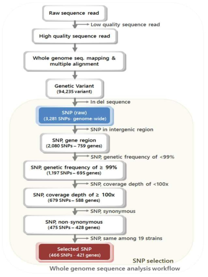 Whole genome sequence analysis workflow