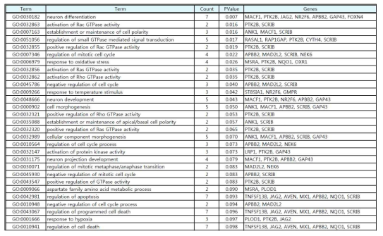 Gene Ontology term(GO) functional annotation (p < 0.1)