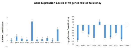 잠복감염 관련 후보유전자들의 Gene Expression levels