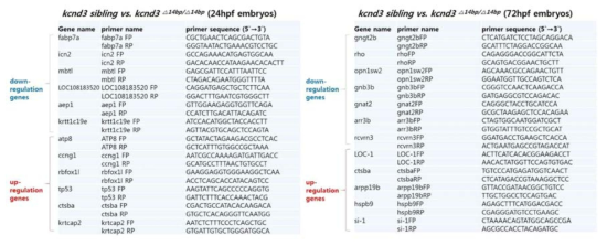 발생시기별(24hpf, 72hpf) 차별 발현 후보유전자들의 프라이머 정보