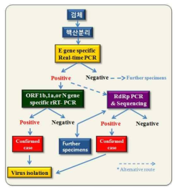 중동호흡기증후군 실험실 진단 흐름도