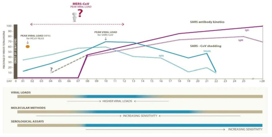 중동호흡기증후군 바이러스 및 항체의 kinetics 예측도