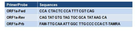 ORF1a 실시간 유전자 진단 검사법 Primer/Probe 염기서열