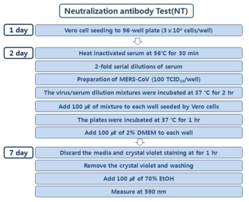 중화항체검사법 실험체계도