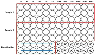 TCID50을 이용하여 MERS-CoV 중화항체가를 측정하기 위한 96-well microplate 실험 모식도. PC; Positive control, VC; Virus control, NC; Negative control