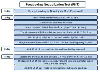 Pseudovirus Neutralization Assay (PNT) 실험체계도