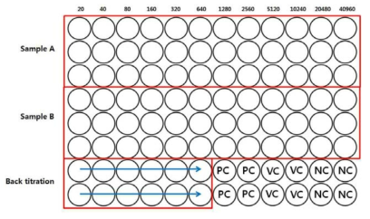 MERS-CoV Pseudovirus을 이용하여 중화항체가를 측정하기 위한 96-well microplate 실험 모식도