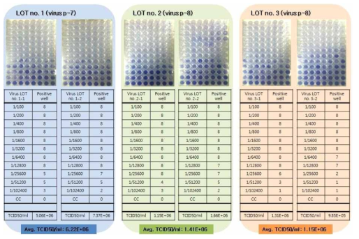 MERS-CoV의 titration 결과