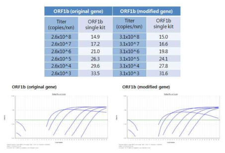 ORF1b original RNA transcript와 외래유전자 삽입된 RNA transcripts 결과 비교