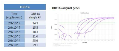 ORF1a RNA transcript 반응 결과