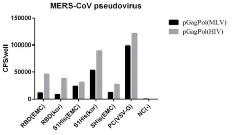 HIV와 MLV gagpol 유전자 이용 시의 pseudovirus 감염성 비교